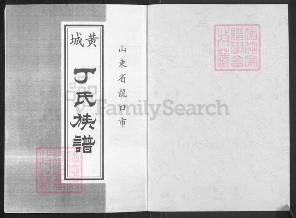 山东省烟台市龙口市丁氏族谱-丁氏族谱.pdf电子版插图1