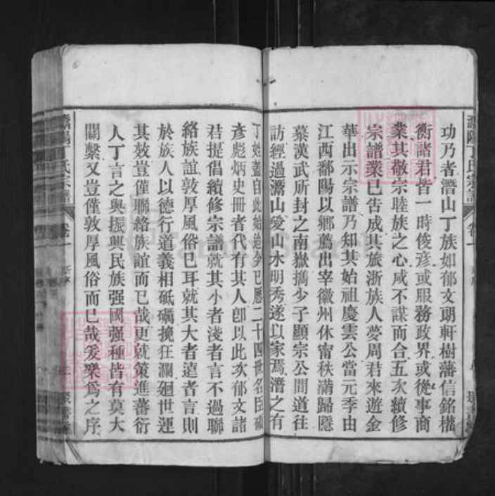 安徽省安庆市潜山市丁氏聚书堂族谱-灊阳丁氏宗谱.pdf电子版插图2