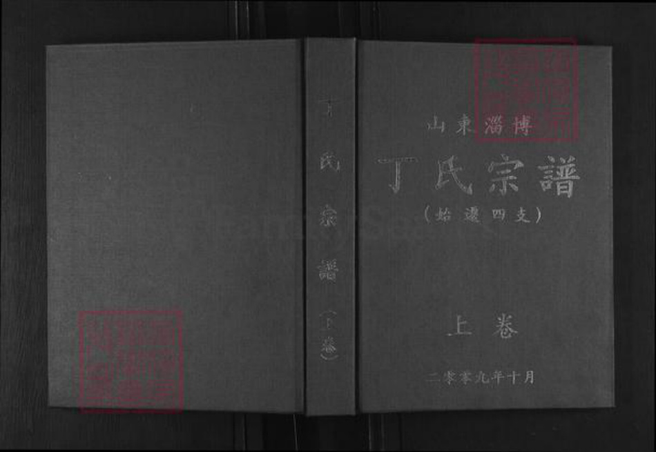 山东省淄博市博山区丁氏族谱-山东淄博丁氏宗谱.pdf电子版插图
