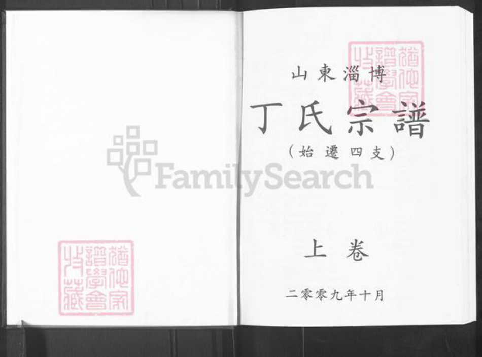 山东省淄博市博山区丁氏族谱-山东淄博丁氏宗谱.pdf电子版插图1