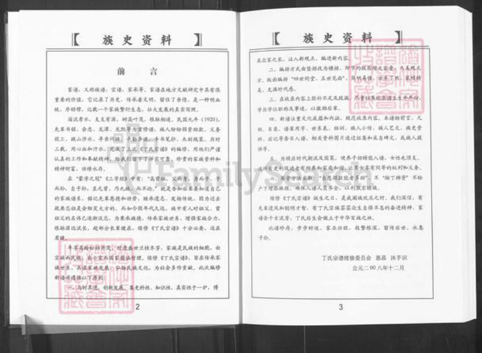山东省淄博市博山区丁氏族谱-山东淄博丁氏宗谱.pdf电子版插图3
