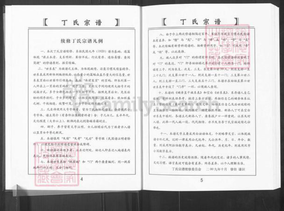山东省淄博市博山区丁氏族谱-山东淄博丁氏宗谱.pdf电子版插图4