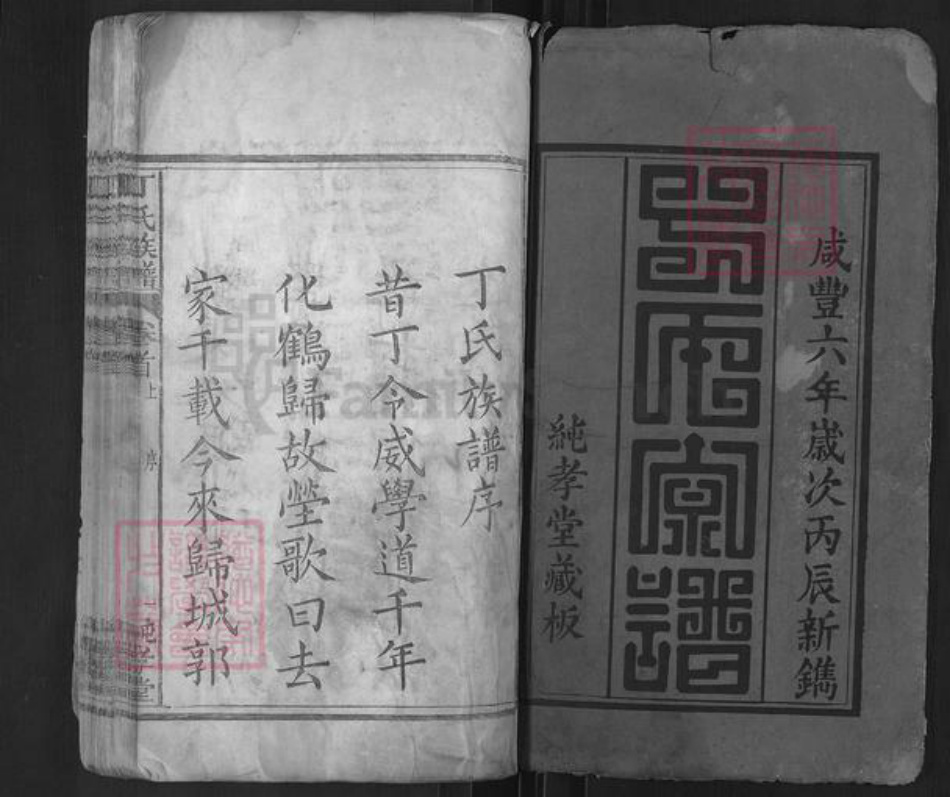 湖北省黄冈市麻城市南湖街道丁氏纯孝堂族谱-丁氏族谱.pdf电子版插图1