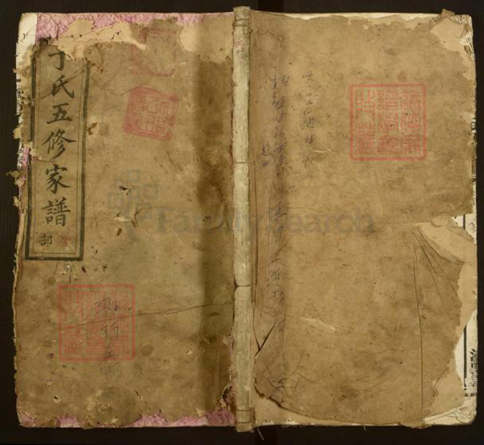 湖南省长沙市宁乡市丁氏济阳堂族谱-沩宁丁氏五修家谱.pdf电子版插图