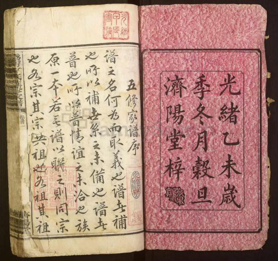 湖南省长沙市宁乡市丁氏济阳堂族谱-沩宁丁氏五修家谱.pdf电子版插图2