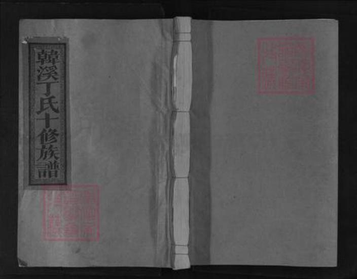 江西省抚州市临川区丁氏族谱-韩溪丁氏十修族谱.pdf电子版