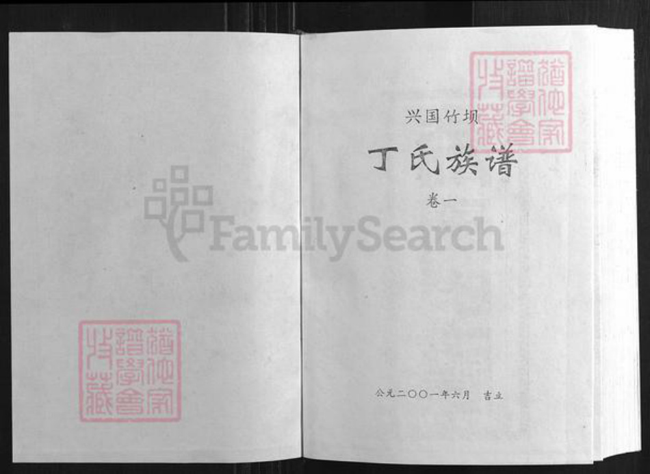 江西省赣州市兴国县江西省赣州市兴国县潋江镇丁氏族谱-兴国竹坝丁氏族谱.pdf电子版插图1