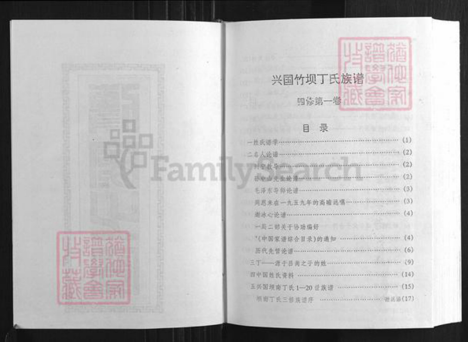 江西省赣州市兴国县江西省赣州市兴国县潋江镇丁氏族谱-兴国竹坝丁氏族谱.pdf电子版插图3