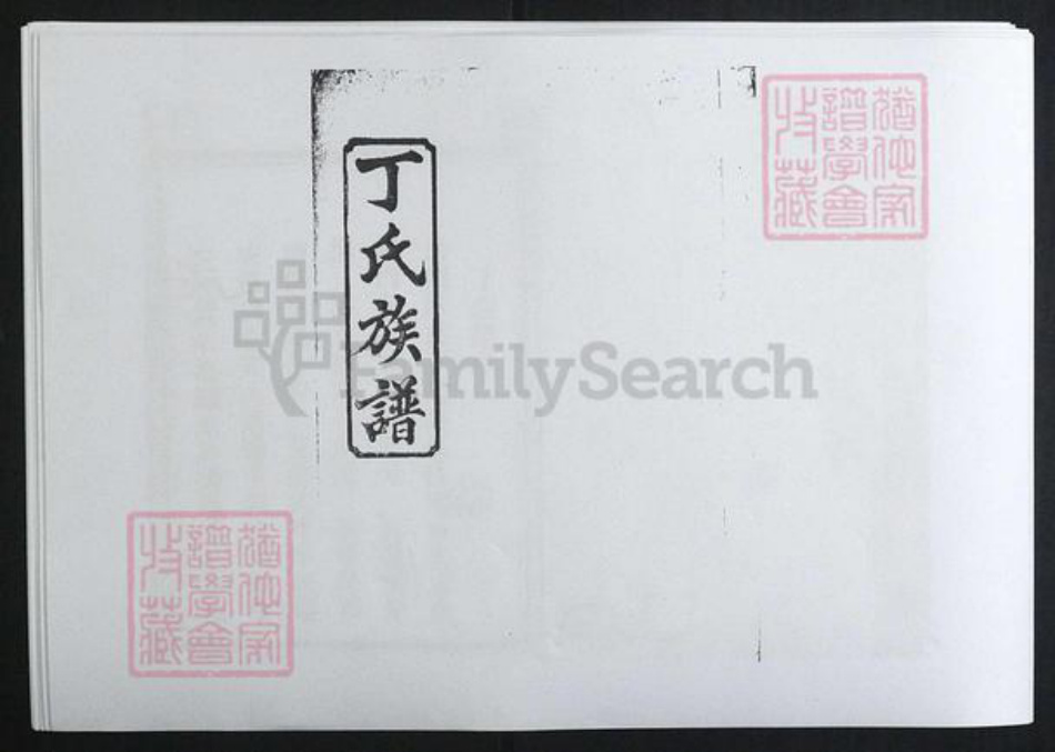 湖南省长沙市丁氏族谱-丁氏重修族谱[8卷].pdf电子版插图