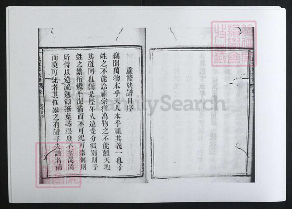 湖南省长沙市丁氏族谱-丁氏重修族谱[8卷].pdf电子版插图5