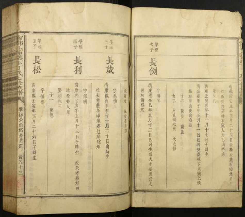江西省丁氏族谱-宁都小布塔下丁氏七修族谱.pdf电子版插图3