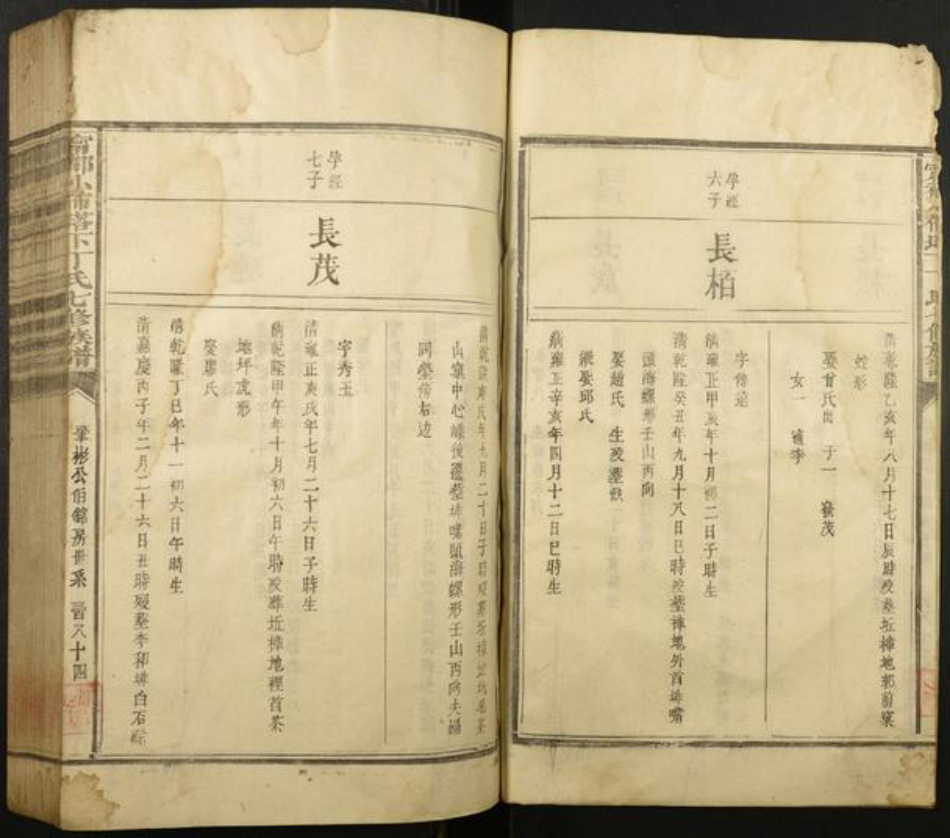 江西省丁氏族谱-宁都小布塔下丁氏七修族谱.pdf电子版插图4