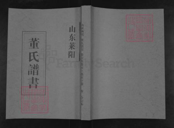 山东省烟台市莱阳市董氏族谱-董氏谱书.pdf电子版插图