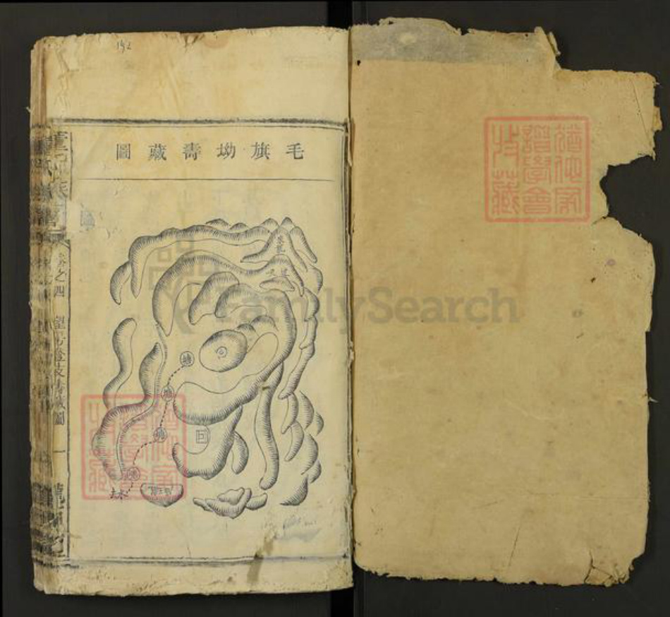 湖南省株洲市芦淞区董氏陇西堂族谱-董氏族谱.pdf电子版插图1