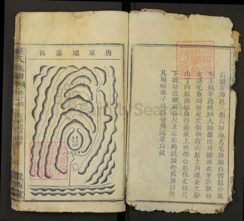 湖南省株洲市芦淞区董氏陇西堂族谱-董氏族谱.pdf电子版插图2