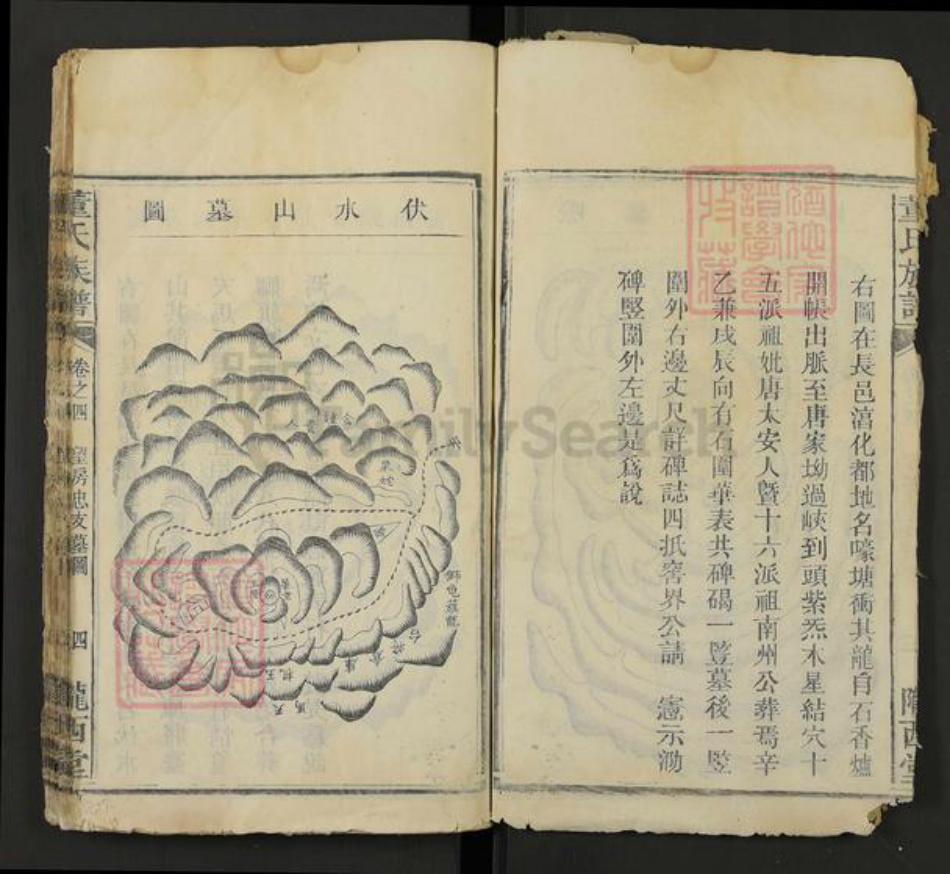 湖南省株洲市芦淞区董氏陇西堂族谱-董氏族谱.pdf电子版插图4