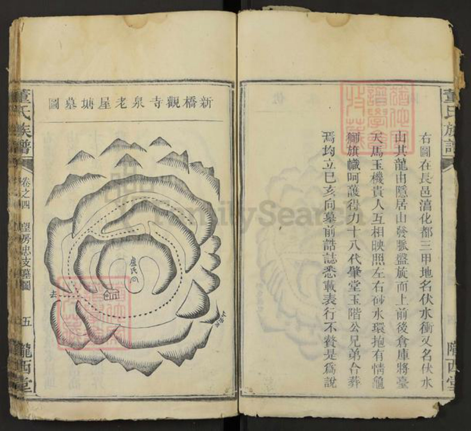 湖南省株洲市芦淞区董氏陇西堂族谱-董氏族谱.pdf电子版插图5