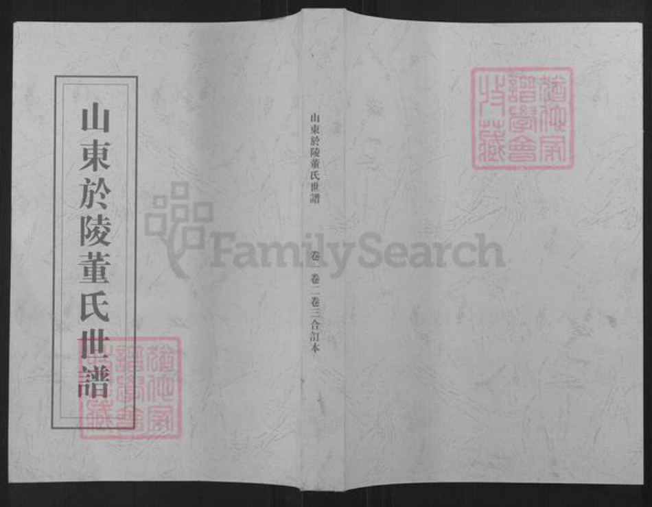 山东省滨州市邹平市长山镇董氏族谱-山东于陵董氏世谱.pdf电子版插图