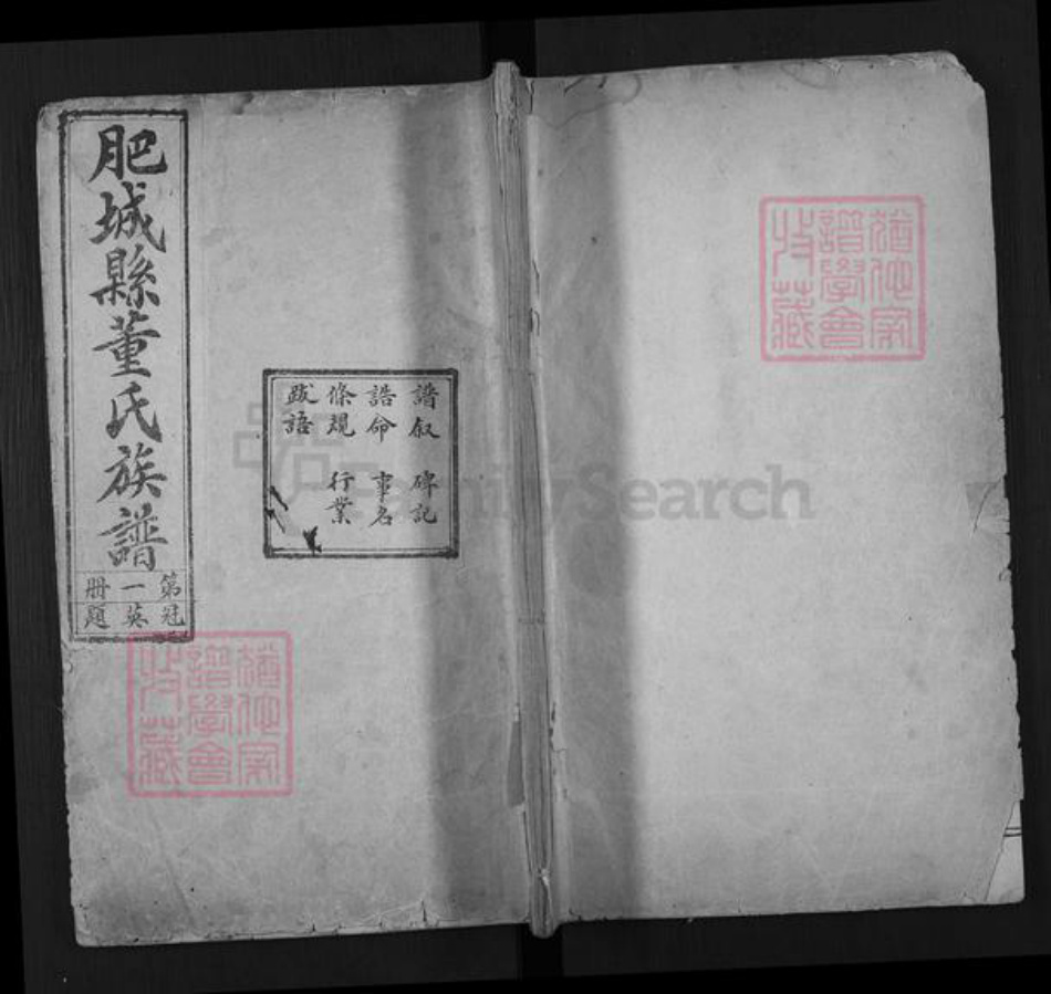 山东省泰安市肥城市董氏族谱-肥城县董氏族谱.pdf电子版插图