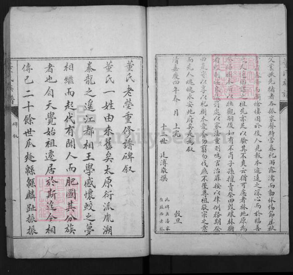 山东省泰安市肥城市董氏族谱-肥城县董氏族谱.pdf电子版插图3