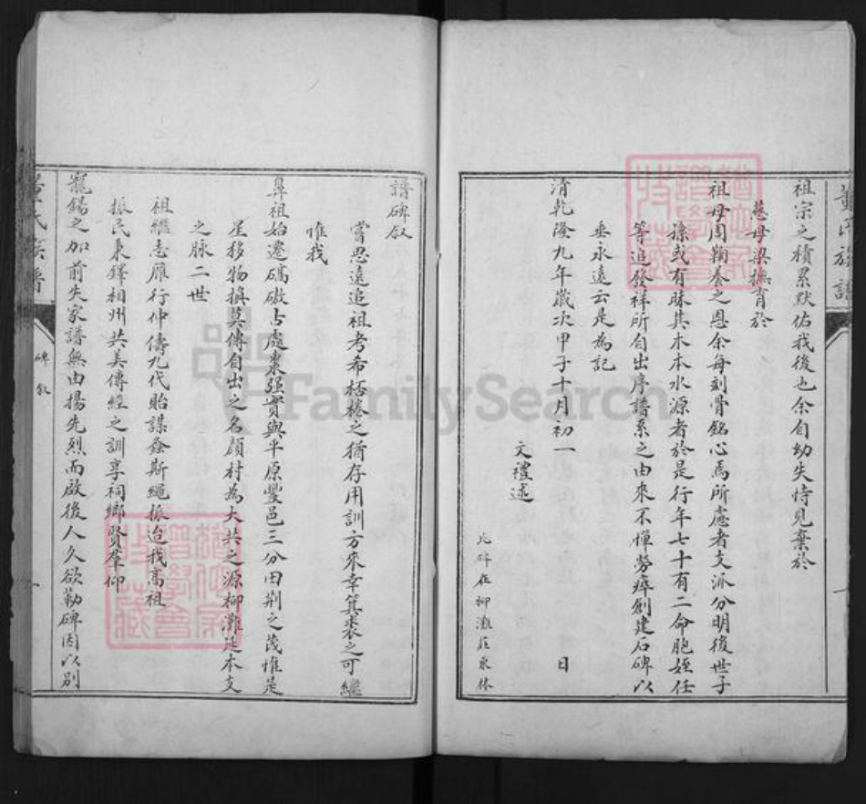 山东省泰安市肥城市董氏族谱-肥城县董氏族谱.pdf电子版插图5