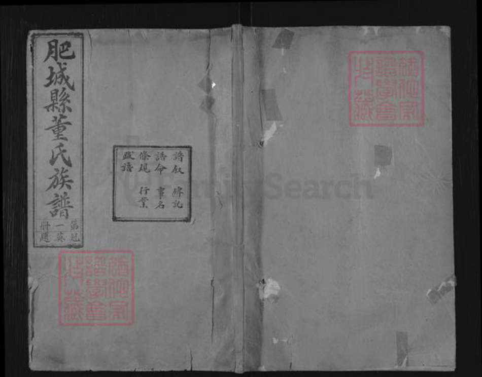 山东省泰安市肥城市董氏族谱-肥城县董氏族谱.pdf电子版插图