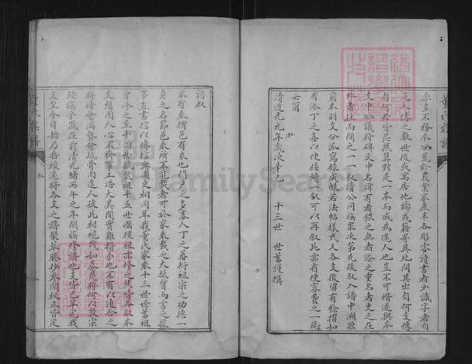山东省泰安市肥城市董氏族谱-肥城县董氏族谱.pdf电子版插图2