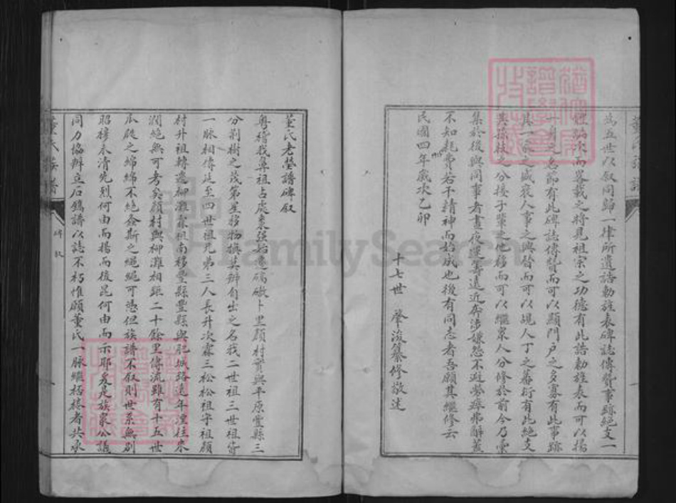 山东省泰安市肥城市董氏族谱-肥城县董氏族谱.pdf电子版插图3