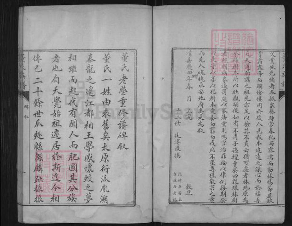 山东省泰安市肥城市董氏族谱-肥城县董氏族谱.pdf电子版插图4