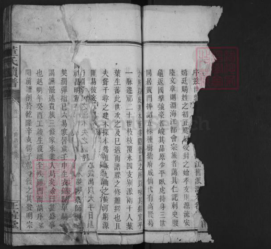 湖南省永州市祁阳县潘市镇董氏正谊堂族谱-董氏续谱.pdf电子版插图4