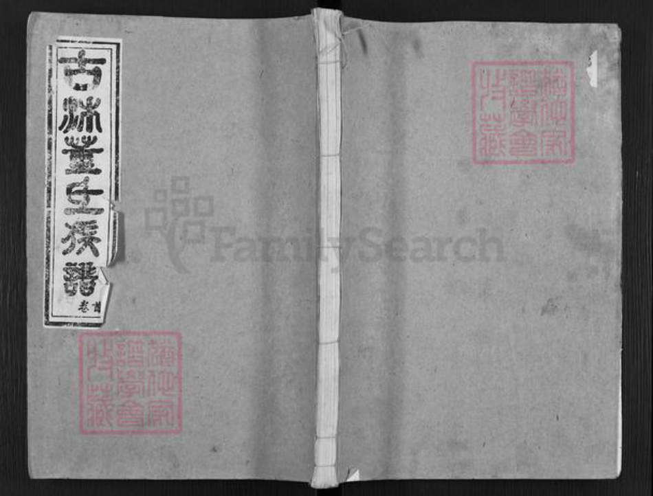江苏省徐州市沛县安国镇董氏豢龙堂族谱-古沛董氏族谱.pdf电子版插图