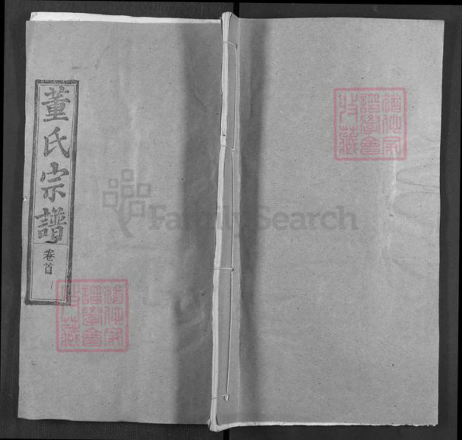 湖北省武汉市新洲区董氏三策堂族谱-董氏宗谱.pdf电子版插图