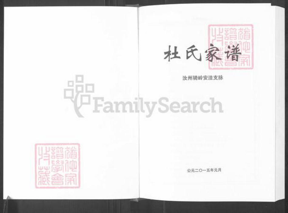 河南省平顶山汝州市杜氏族谱-杜氏家谱.pdf电子版插图1