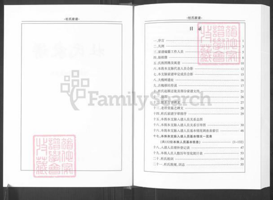 河南省平顶山汝州市杜氏族谱-杜氏家谱.pdf电子版插图2