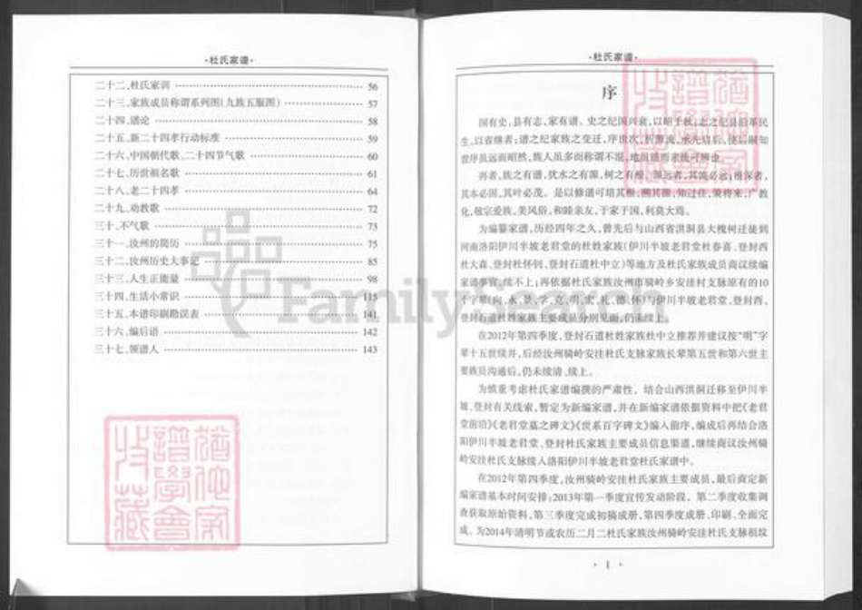 河南省平顶山汝州市杜氏族谱-杜氏家谱.pdf电子版插图3