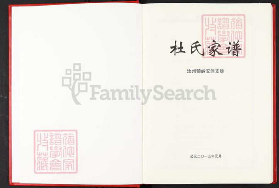 河南省平顶山汝州市骑岭乡杜氏族谱-杜氏家谱.汝州骑岭安洼支系.pdf电子版插图2