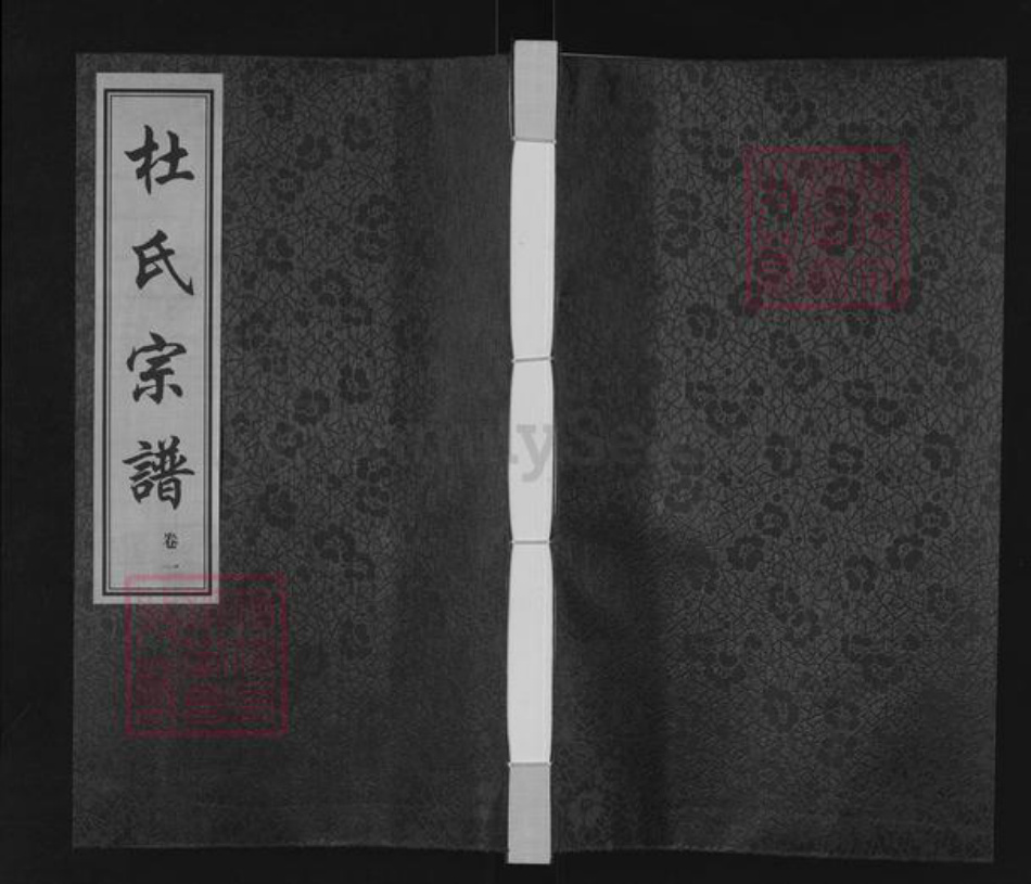江苏省常州市武进县遥观镇杜氏振德堂族谱-杜氏宗谱.pdf电子版插图