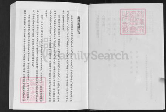 贵州省毕节市织金县以那镇杜氏族谱-杜氏家谱.pdf电子版插图5 贵州省毕节市织金县以那镇杜氏族谱-杜氏家谱.pdf电子版插图5