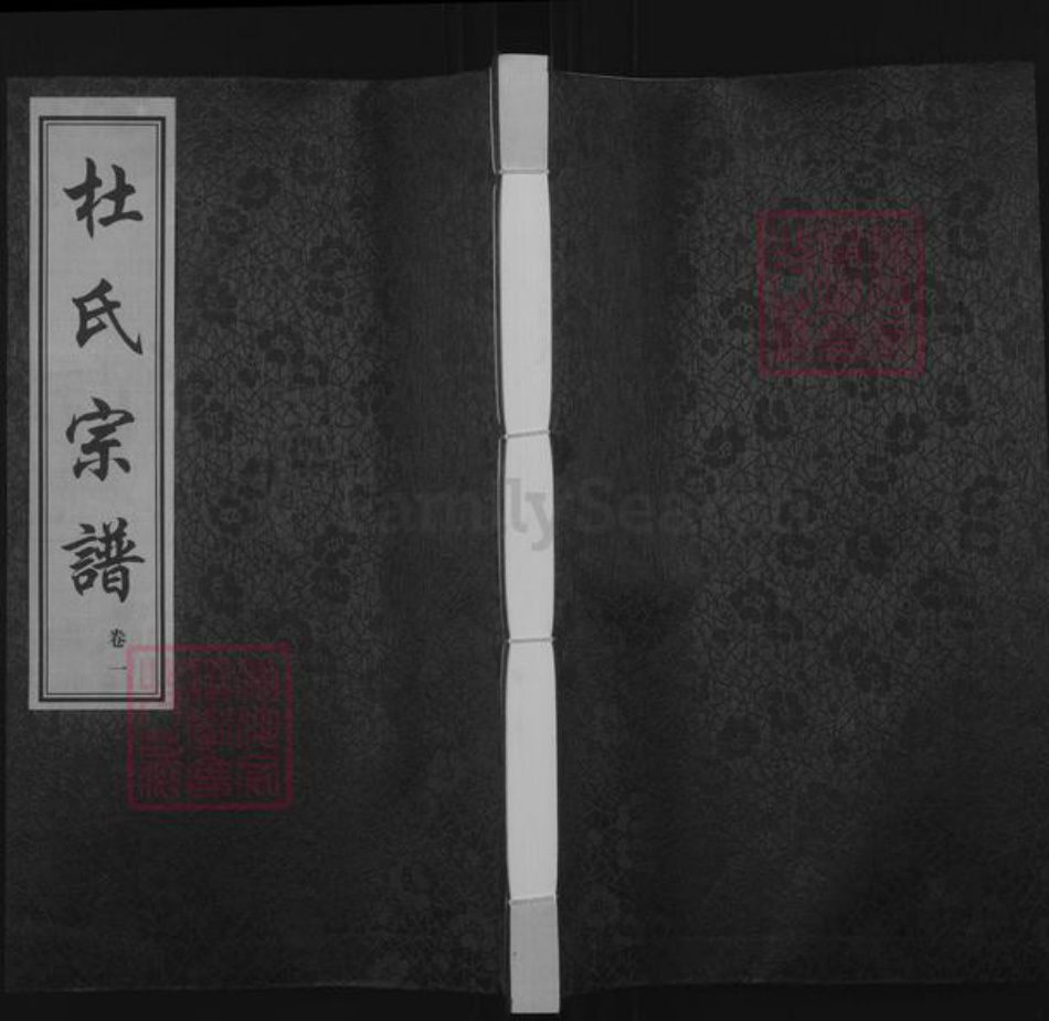江苏省常州市武进县洛阳镇杜氏振德堂族谱-杜氏宗谱.pdf电子版插图