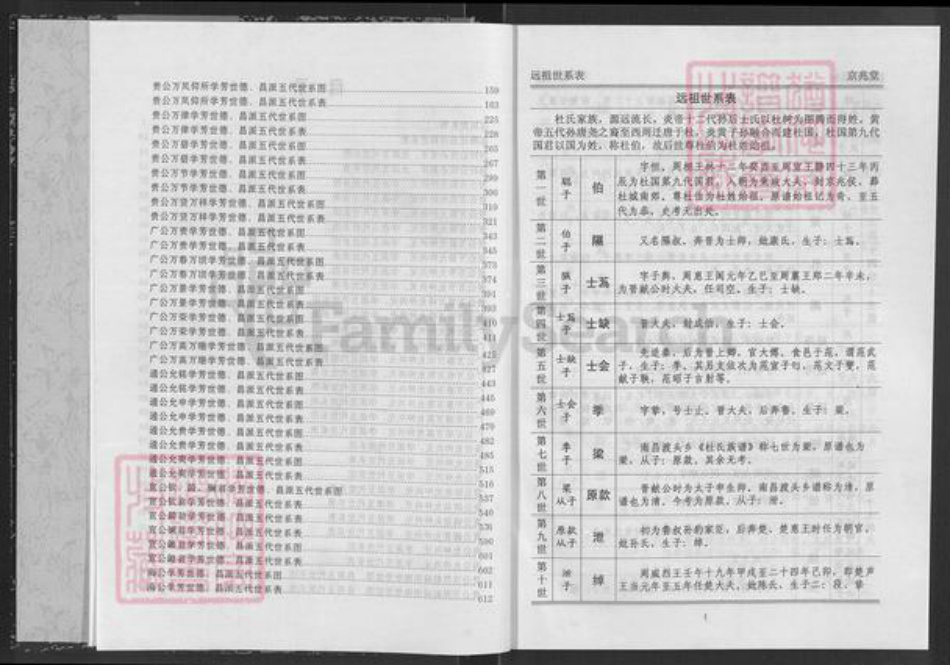 湖北省咸宁市通城县杜氏京兆堂族谱-杜氏宗谱.pdf电子版插图3