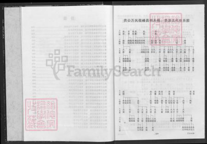 湖北省咸宁市通城县隽水镇杜氏京兆堂族谱-杜氏宗谱.pdf电子版插图3