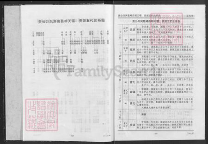 湖北省咸宁市通城县隽水镇杜氏京兆堂族谱-杜氏宗谱.pdf电子版插图4