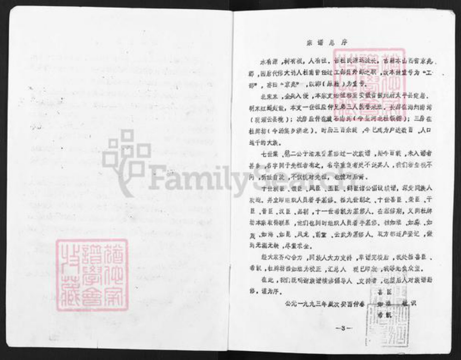 江苏省淮安市清江浦区盐河镇杜氏族谱-杜氏宗谱.pdf电子版插图4