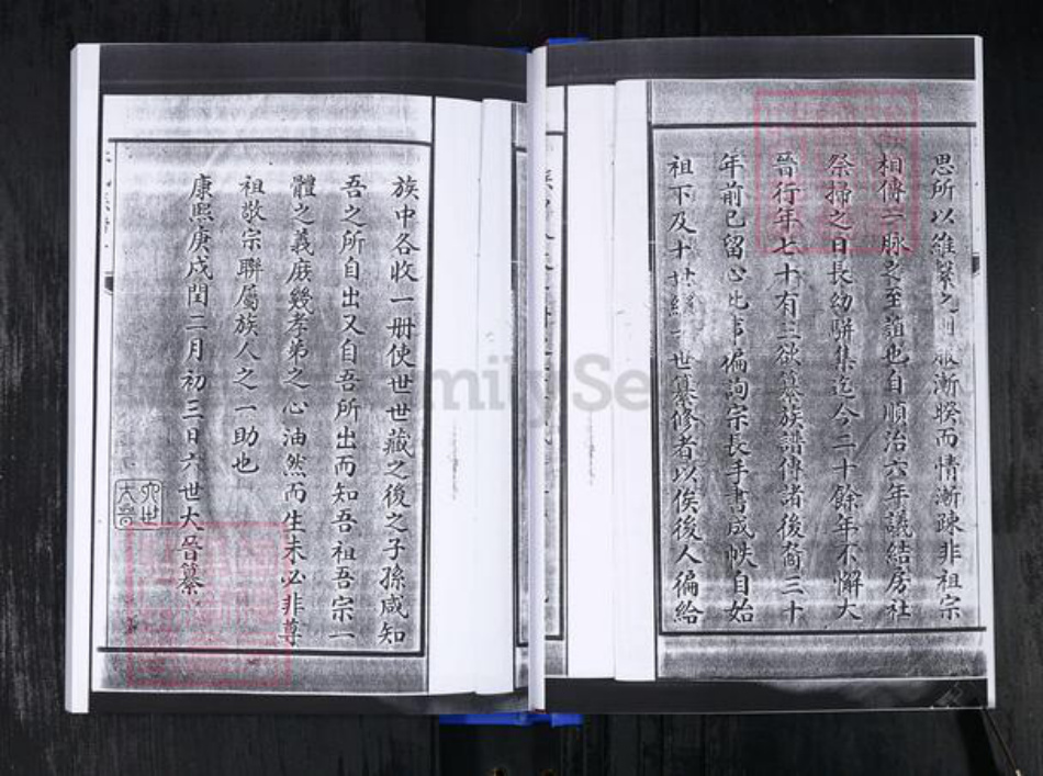 山东省青岛市即墨区杜氏族谱-杜氏族谱.pdf电子版插图4