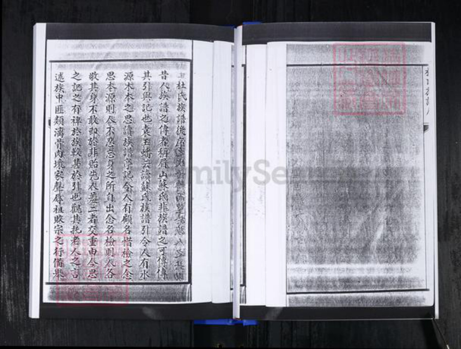 山东省青岛市即墨区杜氏族谱-杜氏族谱.pdf电子版插图5