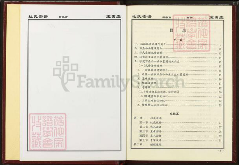 湖北省黄冈市英山县杜氏宝田堂族谱-杜氏宗谱.pdf电子版插图2