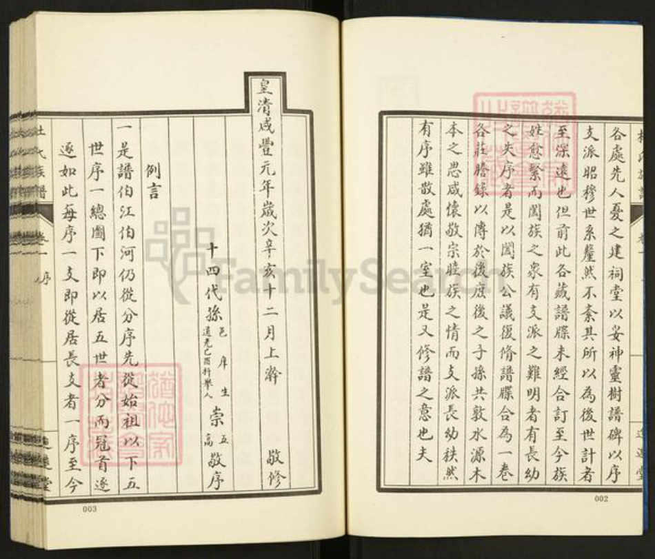 山东省泰安市肥城市汶阳镇杜氏追逺堂族谱-杜氏族谱.pdf电子版插图2