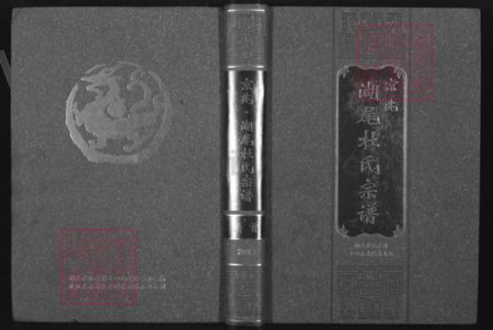 江西省南昌市安义县杜氏浣花堂族谱-京兆湖尾杜氏宗谱.pdf电子版插图