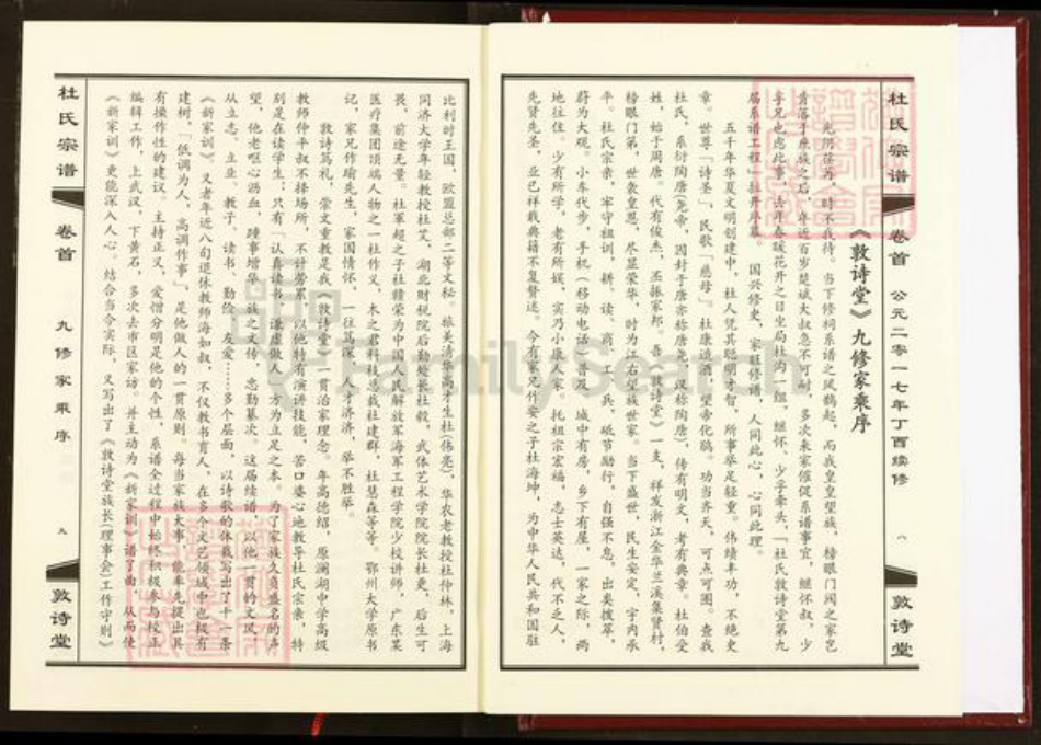 湖北省黄冈市武穴市杜氏敦诗堂族谱-杜氏宗谱.pdf电子版插图5