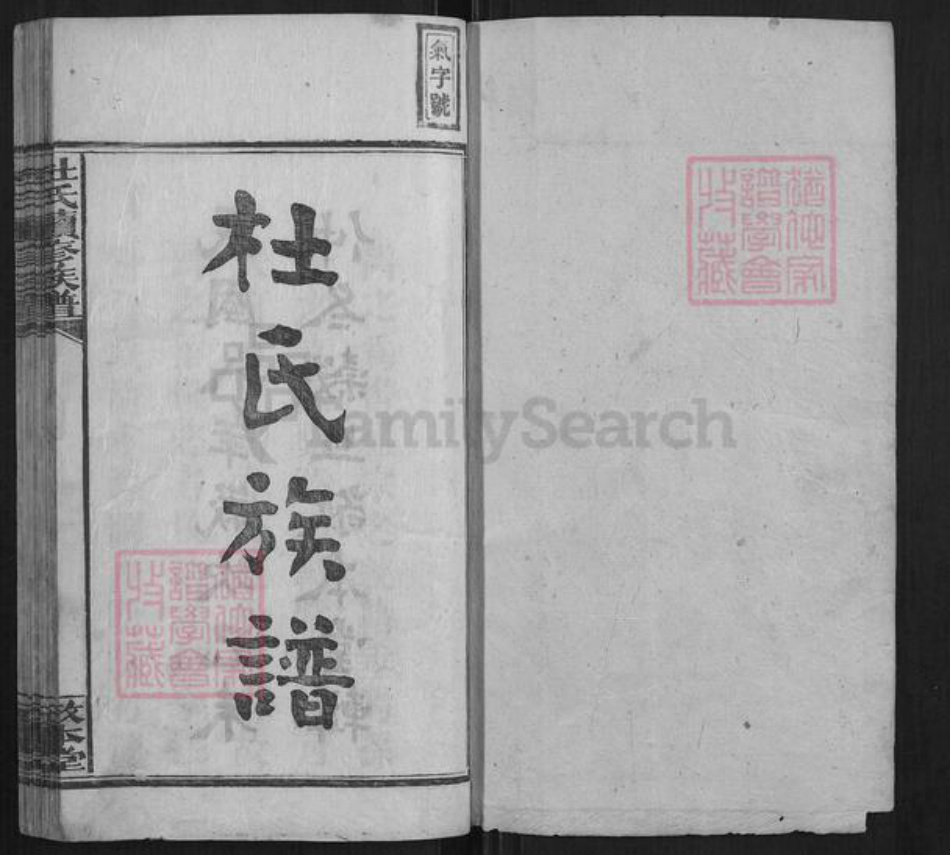 湖南省湘潭市湘乡市湘乡杜氏族谱-杜氏续修族谱[14卷首上下卷末1卷].pdf电子版插图1